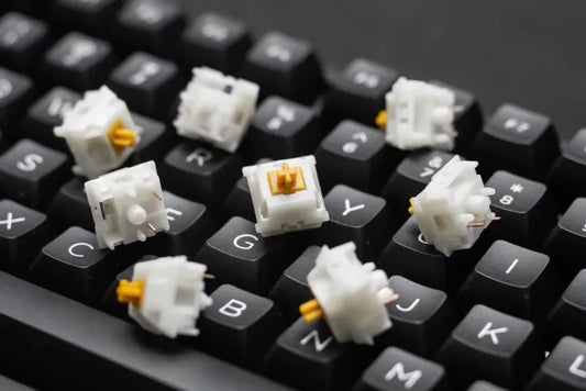 What Are Mechanical Keyboard Switches?