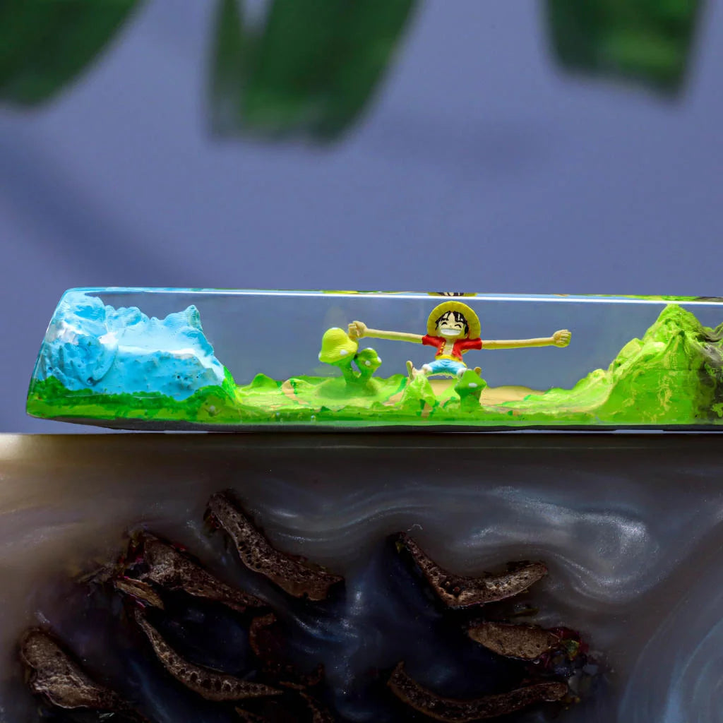 One Piece Spacebar
